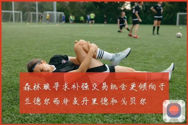 森林狼寻求补强交易机会更倾向于兰德尔而非麦丹里德和戈贝尔